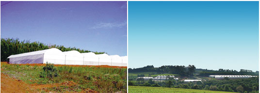 �u���W���̃K�s�_��C���[�W