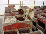 �y �_��C���[�W