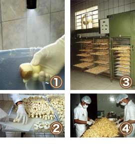 �A�K���N�X���H�C���[�W