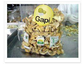 �A�K���N�X�����i