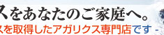 ガピエジャパンは日本で始めて有機JAS認定アガリクスヲ取得したアガリクス専門店です